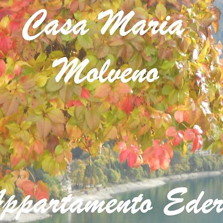 Casa Maria Apartment Molveno Ruang foto