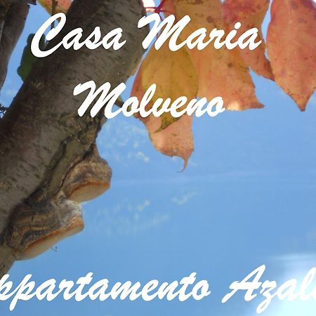 Casa Maria Apartment Molveno Ruang foto