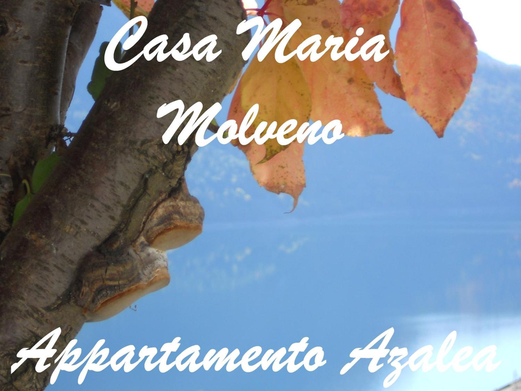 Casa Maria Apartment Molveno Ruang foto
